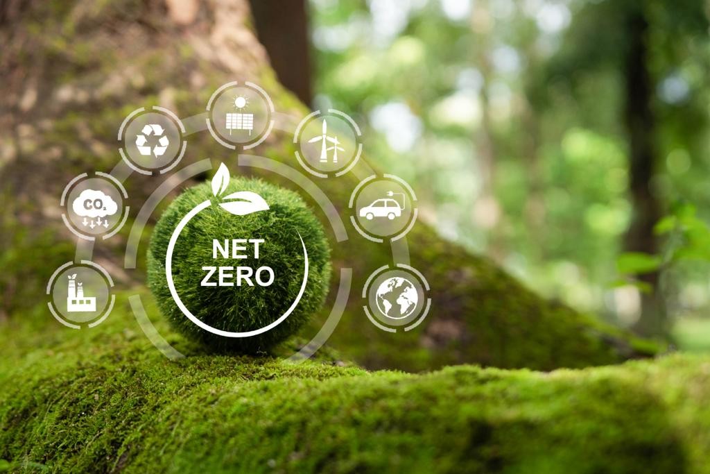 The Importance of Innovation to Drive Net-Zero Outcomes