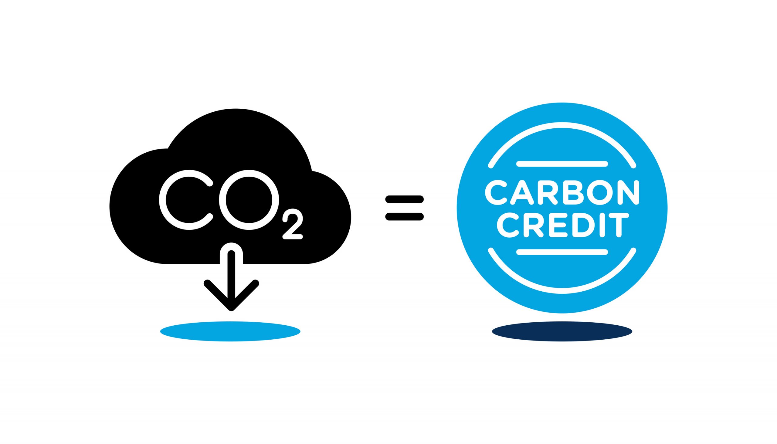 The American Carbon Offset Market Disappoints Investors